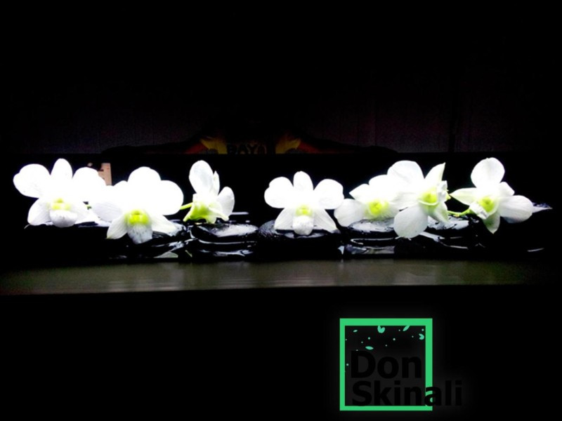 Кухонные фартуки