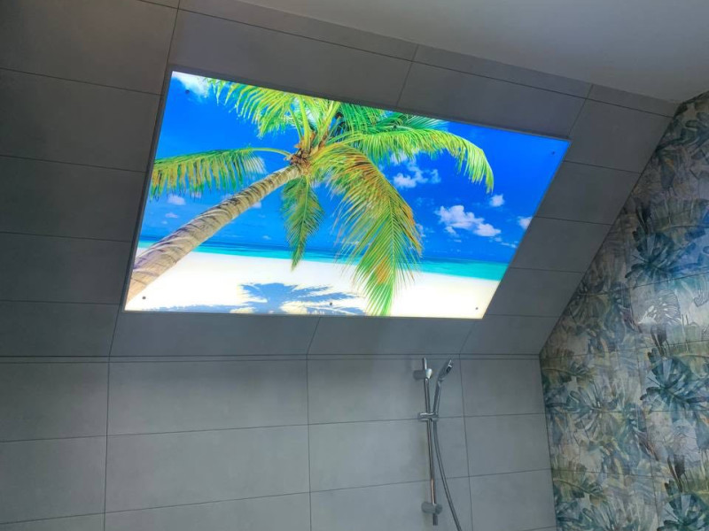 Наші роботи