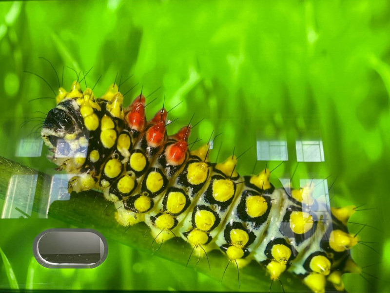 Наши работы