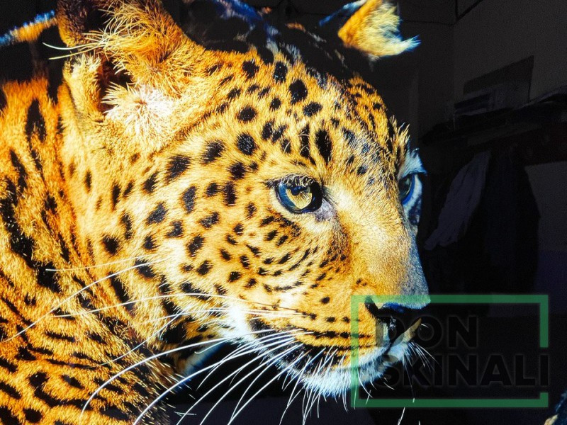 Картини, панно